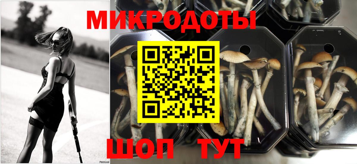 Галлюциногенные грибы MAGIC MUSHROOMS  цена   Вход с VPN  Елец  Галлюциногенные грибы ЛСД 